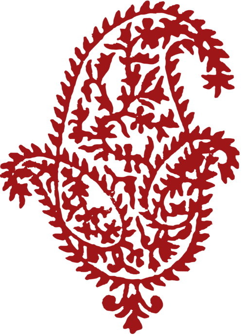 Paisley Icon
